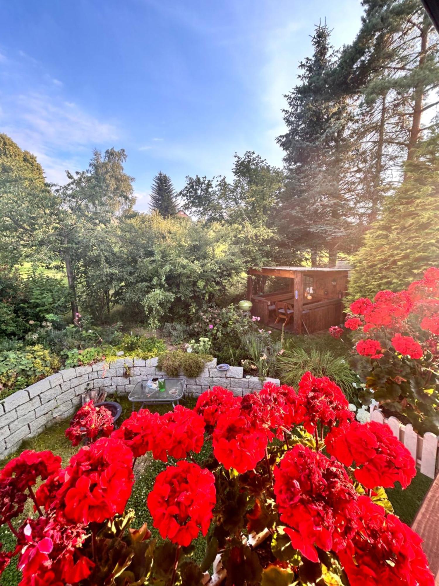 Ferienwohnung Mit Gartennutzung, Garage Und Wallbox Ebersbach-Neugersdorf Экстерьер фото